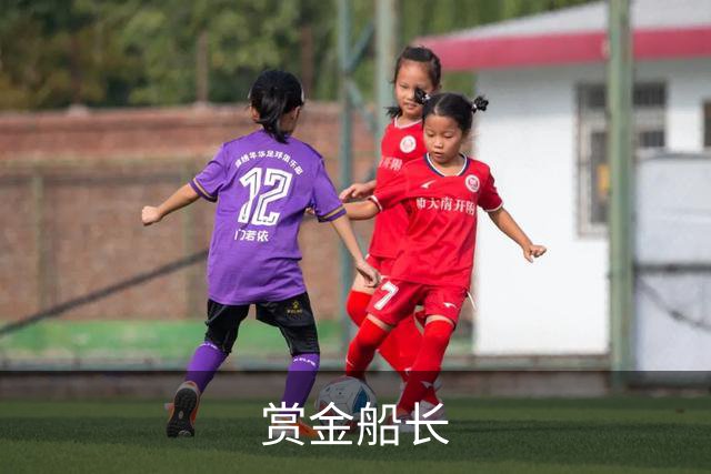 赏金船长公司简介图片